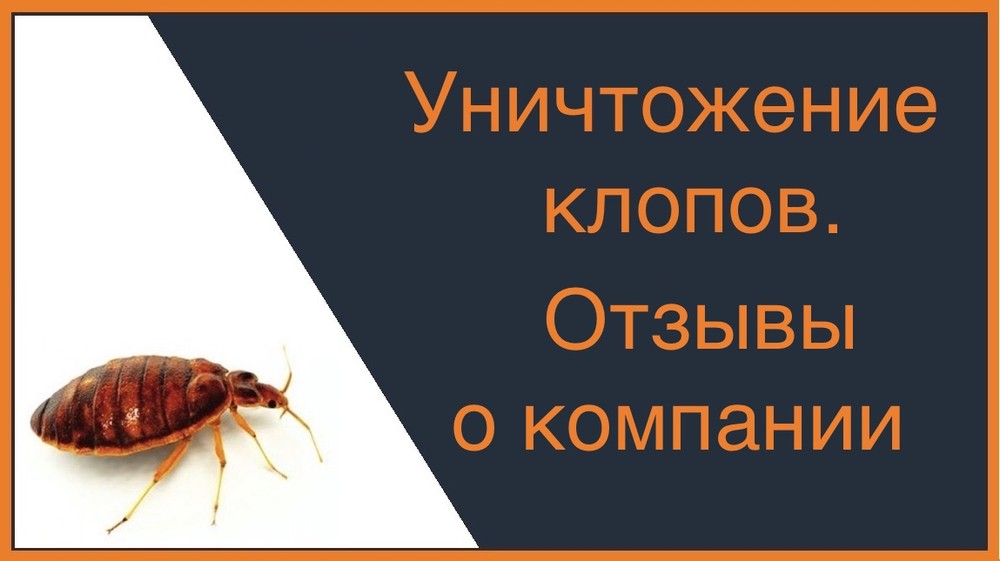 Уничтожение клопов - отзывы о компании в Смоленске